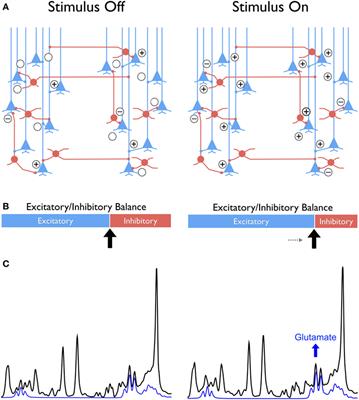 Functional Magnetic Resonance Spectroscopy: The “New” MRS for Cognitive Neuroscience and Psychiatry Research